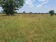 Furnished 6-Bedroom Mansion for Sale in Garuga - 5