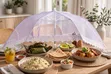 Food Cover Umbrella - Brand New - 2