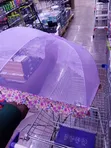 Food Cover Umbrella - Brand New - 3