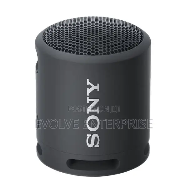 Sony XB13 EXTRA BASS Portable Wireless Speaker - 1