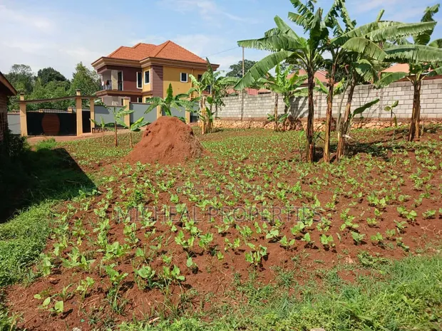 Plot for Sale Masoli, Gayaza Road - UGX 85M - 1