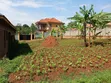 Plot for Sale Masoli, Gayaza Road - UGX 85M - 2