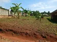 Plot for Sale Masoli, Gayaza Road - UGX 85M - 3