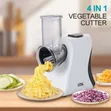 Winning Star 4-in-1 Vegetable Cutter (Model ST-6600) - 1