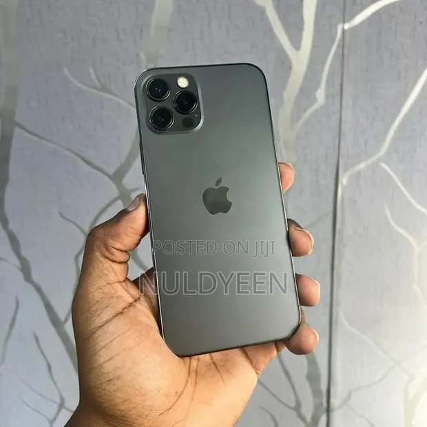 Apple iPhone 12 Pro Max 256 GB - 1