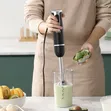 Winning Star Hand Blender ST-5551 - 3