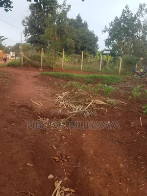 Commercial Land Near UCU, Mukono