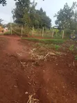 Commercial Land Near UCU, Mukono - 1