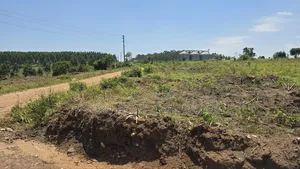 Busunju Town Estate Plots for Sale
