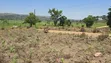 Busunju Town Estate Plots for Sale - 4