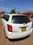 Toyota Corolla Fielder 2010 - 2
