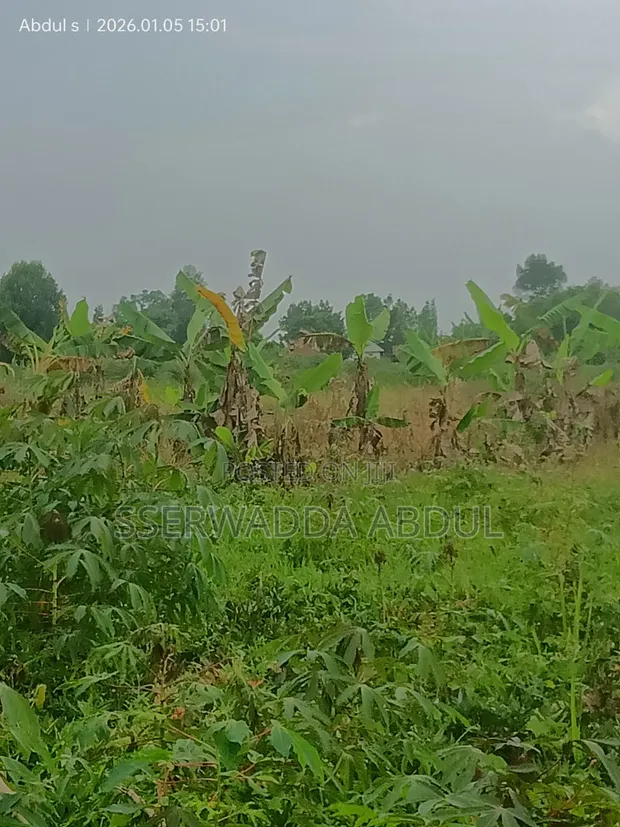 Wokulira Real Estate: Mixed-use Land in Kasanje - 1