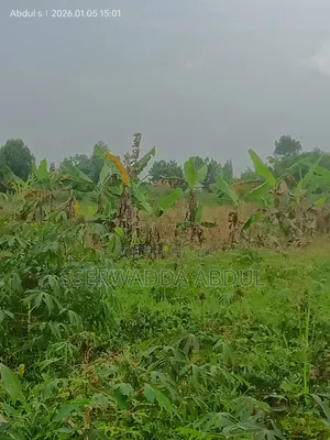 Wokulira Real Estate: Mixed-use Land in Kasanje