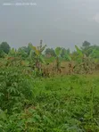 Wokulira Real Estate: Mixed-use Land in Kasanje - 1