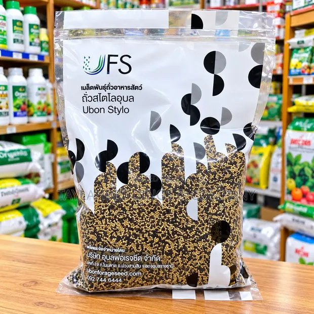 Ubon Stylo Forage Seed - 1
