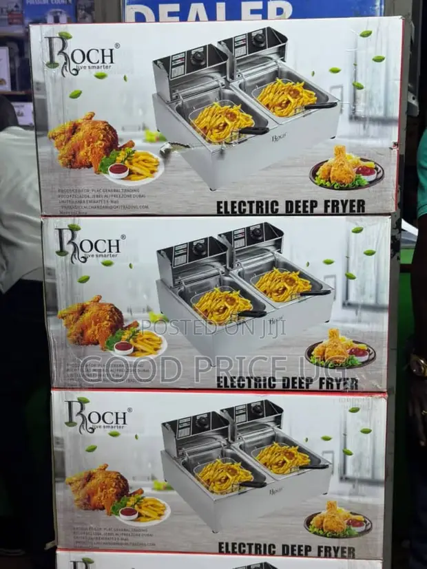 Roch Electric Deep Fryer - Double Tank - 1