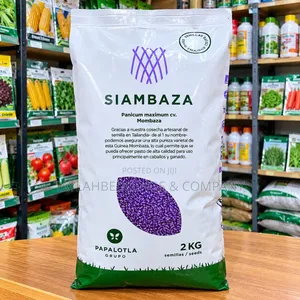 Siambaza Mombaza Grass Seeds - Panicum Maximum, 2KG