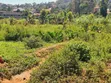 Plot for Sale in Bweya Kajjansi - 3