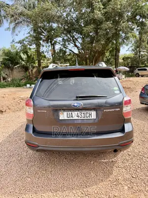 Subaru Forester 2014 Gray