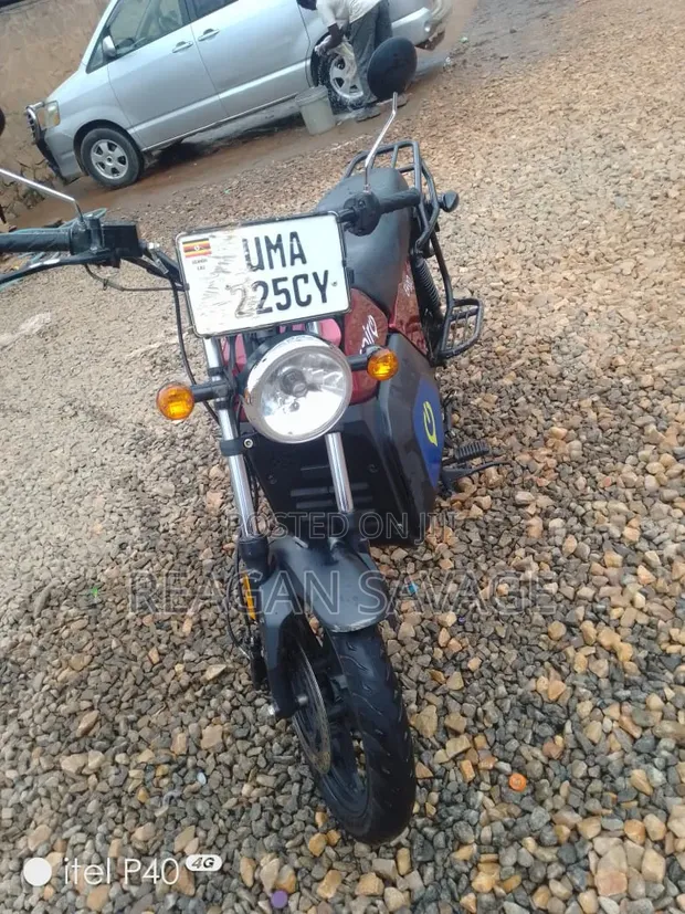 Bajaj Boxer 100 2024 Green - 1