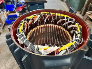 Motor Rewinding and Repair Services