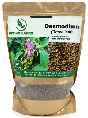 Desmodium Green Grass Seeds 1kg