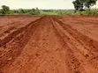 Gayaza-Busika Estate Land for Sale - 1