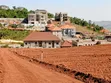 Seguku Hill Estate Land for Sale - UGX 160M - 3