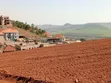 Seguku Hill Estate Land for Sale - UGX 160M - 5