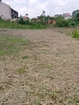 50x100ft Plot for Sale in Kira-Nsasa, Near Tarmac - 4