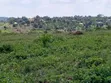 Kiwenda Estates Land for Sale - 16M - 3