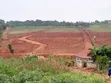Gayaza-Busukuma Estates Land on Tarmac - 1