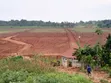 Gayaza-Busukuma Estates Land on Tarmac - 2