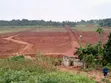 Gayaza-Busukuma Estates Land on Tarmac - 3