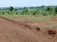 Gayaza-Nakasajja Estate Land for Sale at 25M - 2