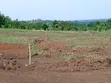Gayaza-Nakasajja Estate Land for Sale at 25M - 4