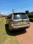 Subaru Forester 2009 Gold - 3