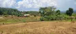 Namayumba Roadside Estate - 11 Decimals Plot - 3