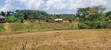 Namayumba Roadside Estate - 11 Decimals Plot - 4