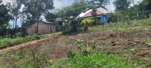 50x100ft Plots for Sale, Gobero Wakiso - 1
