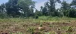 50x100ft Plots for Sale, Gobero Wakiso - 3