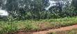 50x100ft Plots for Sale, Gobero Wakiso - 5