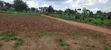 Gobero 11m Plot with Ready Mailo Titles - 2
