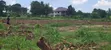 Gobero Luwano Residential Plot with Ready Titles - 1