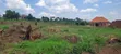 Gobero Luwano Residential Plot with Ready Titles - 4