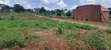 Gobero Luwano Residential Plot with Ready Titles - 5