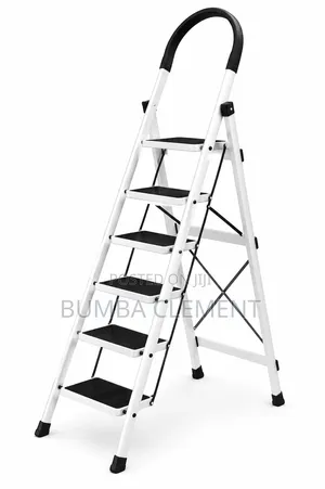 6 Step Family Ladder