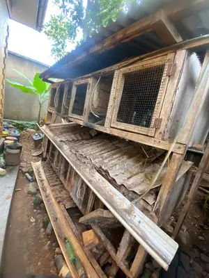 Chicken/Rabbit Cages - Used