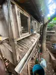 Chicken/Rabbit Cages - Used - 2