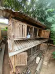Chicken/Rabbit Cages - Used - 3